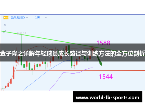 金子隆之详解年轻球员成长路径与训练方法的全方位剖析 金子隆之详解年轻球员成长路径与训练方法的全方位剖析