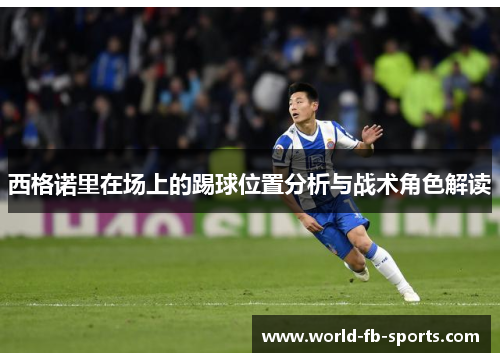 西格诺里在场上的踢球位置分析与战术角色解读